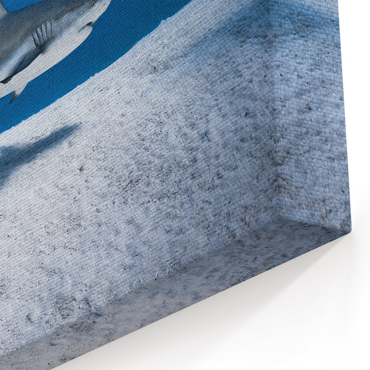 Tropical Island Decor - Majestic Shark Encounter