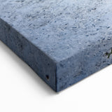 Tropical Island Decor - Majestic Shark Encounter