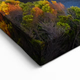 Australian Coastal Art - Golden Cliff Canvas