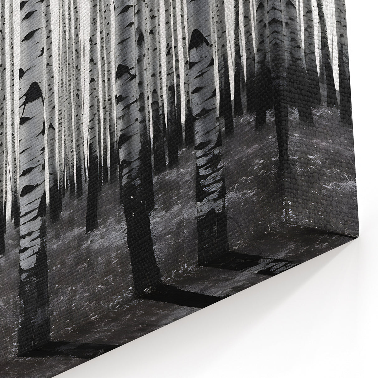 Colorado Aspen Forest Art - Black and White Aspen Forest with Bold Contrast