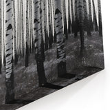 Colorado Aspen Forest Art - Black and White Aspen Forest with Bold Contrast