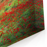 Scenic Israel Photography – Blooming Red Flowers Landscape Wall Art