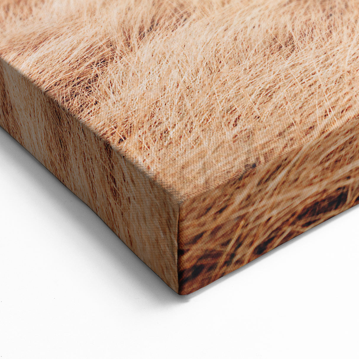 Scenic Denmark Artwork – Danish Countryside Canvas for Wall Decor