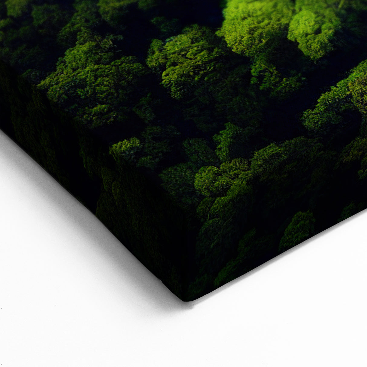 Amazon Rainforest Art - Majestic Rivers & Brazilian Nature Photography Prints