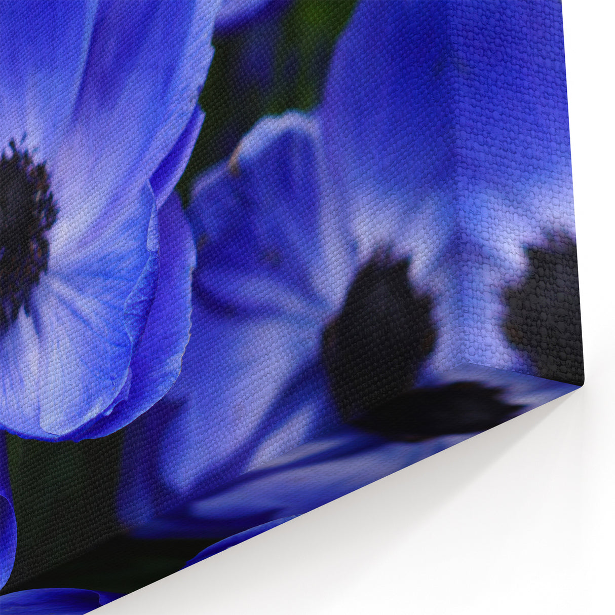 Pansy Wall Art – Botanical Flower Prints for Elegant Home Décor