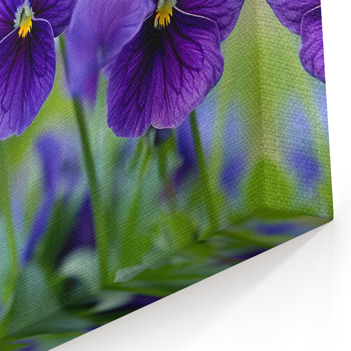 Vibrant Pansy Wall Art – Botanical Flower Prints for Stylish Décor