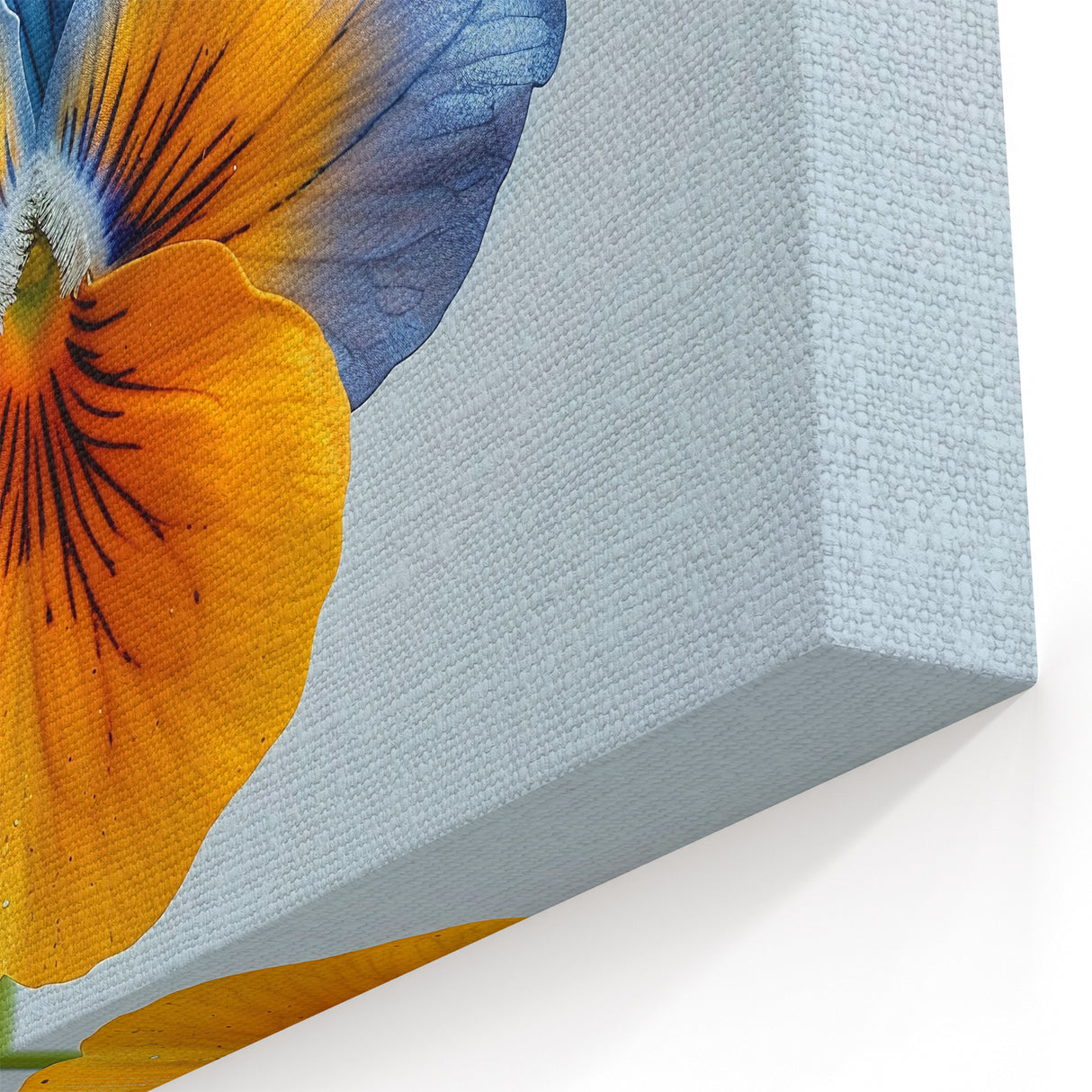 Unique Pansy Wall Art – Botanical Flower Prints for Modern Décor