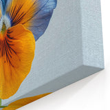 Unique Pansy Wall Art – Botanical Flower Prints for Modern Décor