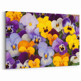 Vibrant Pansy Wall Art – Botanical Flower Prints for Home Decor
