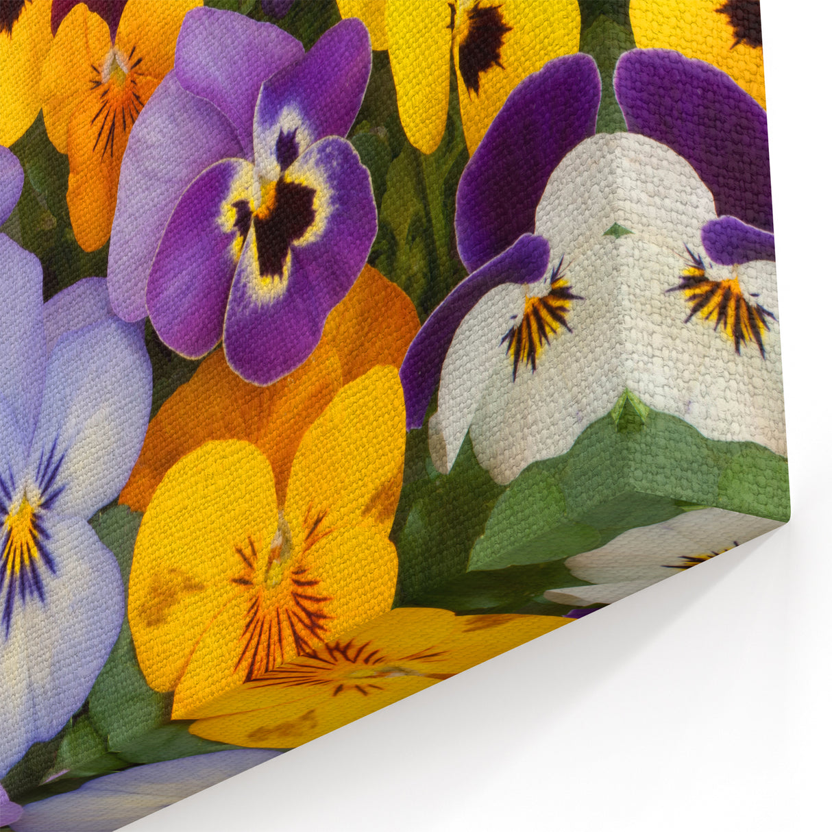 Vibrant Pansy Wall Art – Botanical Flower Prints for Home Decor