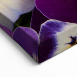 Vibrant Pansy Wall Art – Botanical Flower Prints for Home Decor