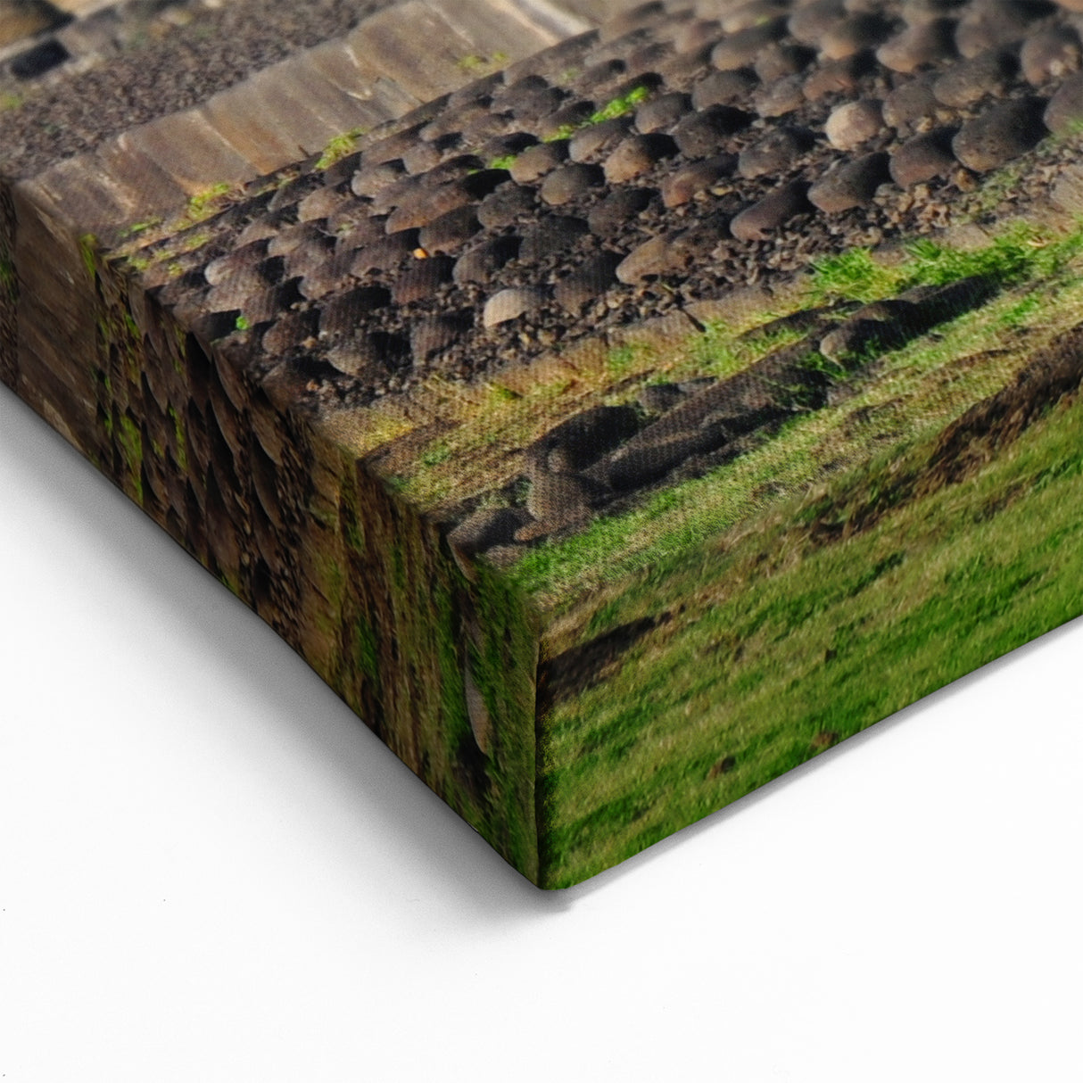 Chile Wall Art - Moai Statues Easter Island Chilean Scenery Art