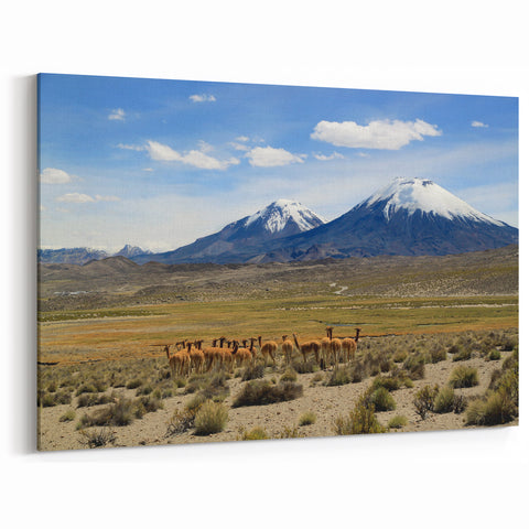 Chile Landscape Prints - Andean Volcanoes with Guanacos South America Wall Decor
