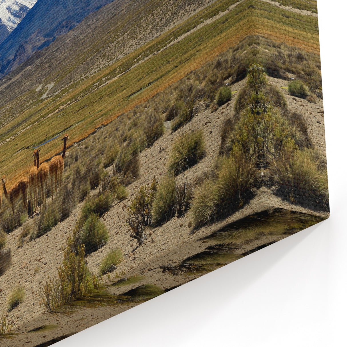 Chile Landscape Prints - Andean Volcanoes with Guanacos South America Wall Decor