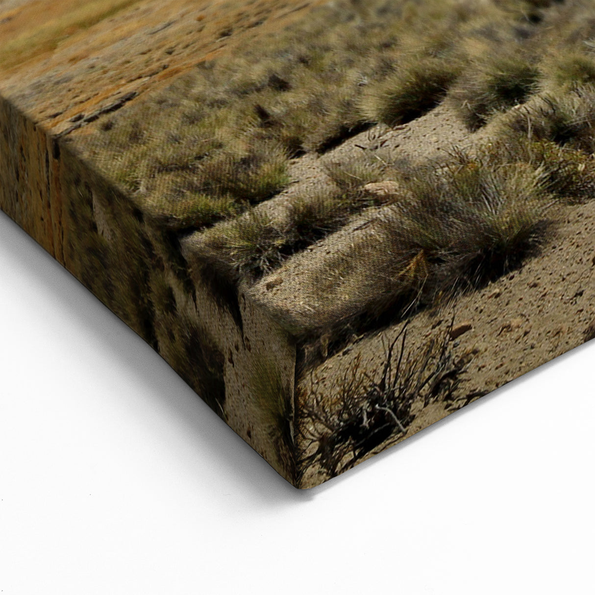 Chile Landscape Prints - Andean Volcanoes with Guanacos South America Wall Decor