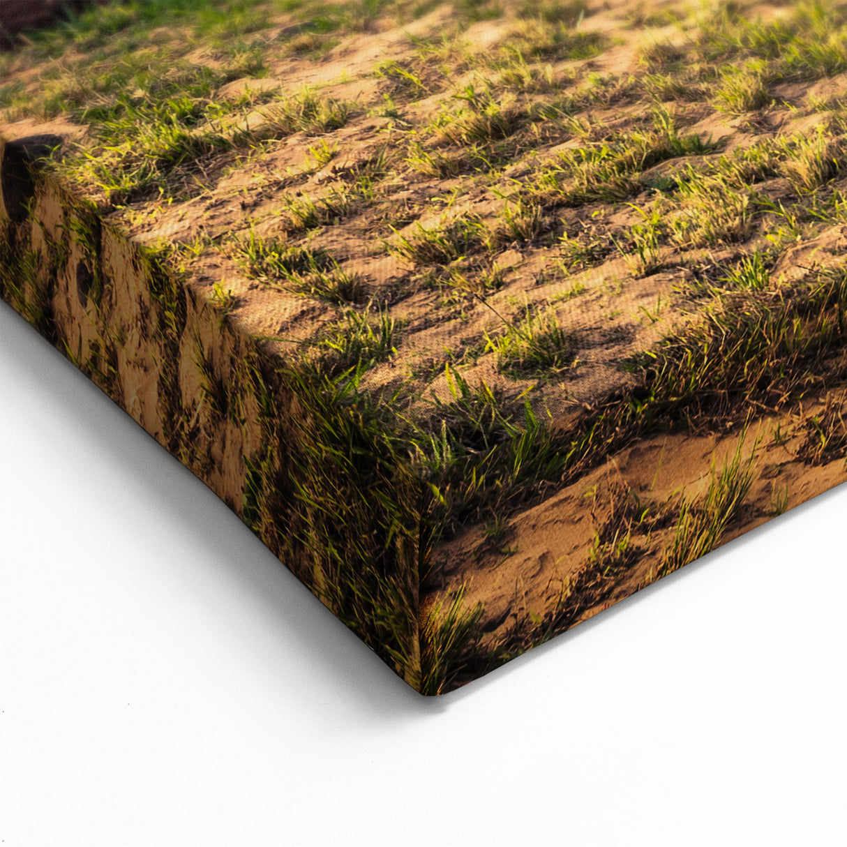 Framed Chile Photography - Easter Island Moai Statues Chilean Scenery Art