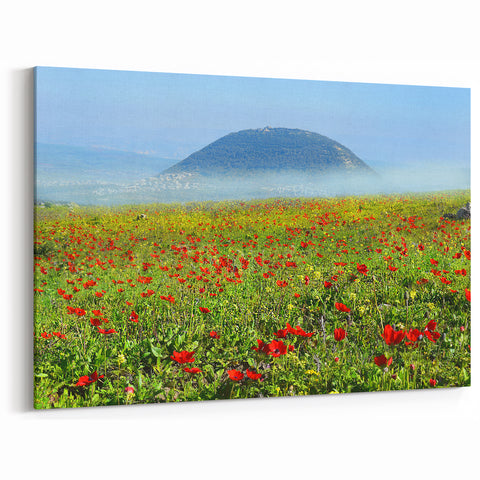 Scenic Israel Photography – Blooming Flowers and Mountain View Wall Art