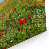 Scenic Israel Photography – Blooming Flowers and Mountain View Wall Art