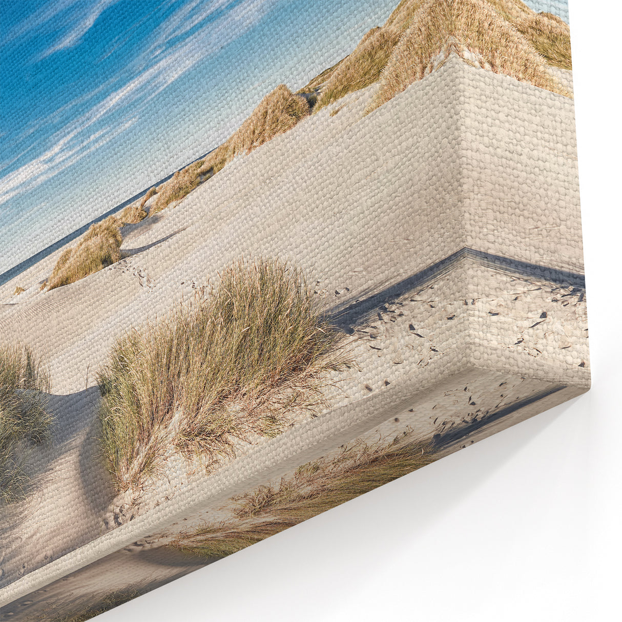Denmark Wall Art - Scenic Danish Landscape with Coastal Sand Dunes