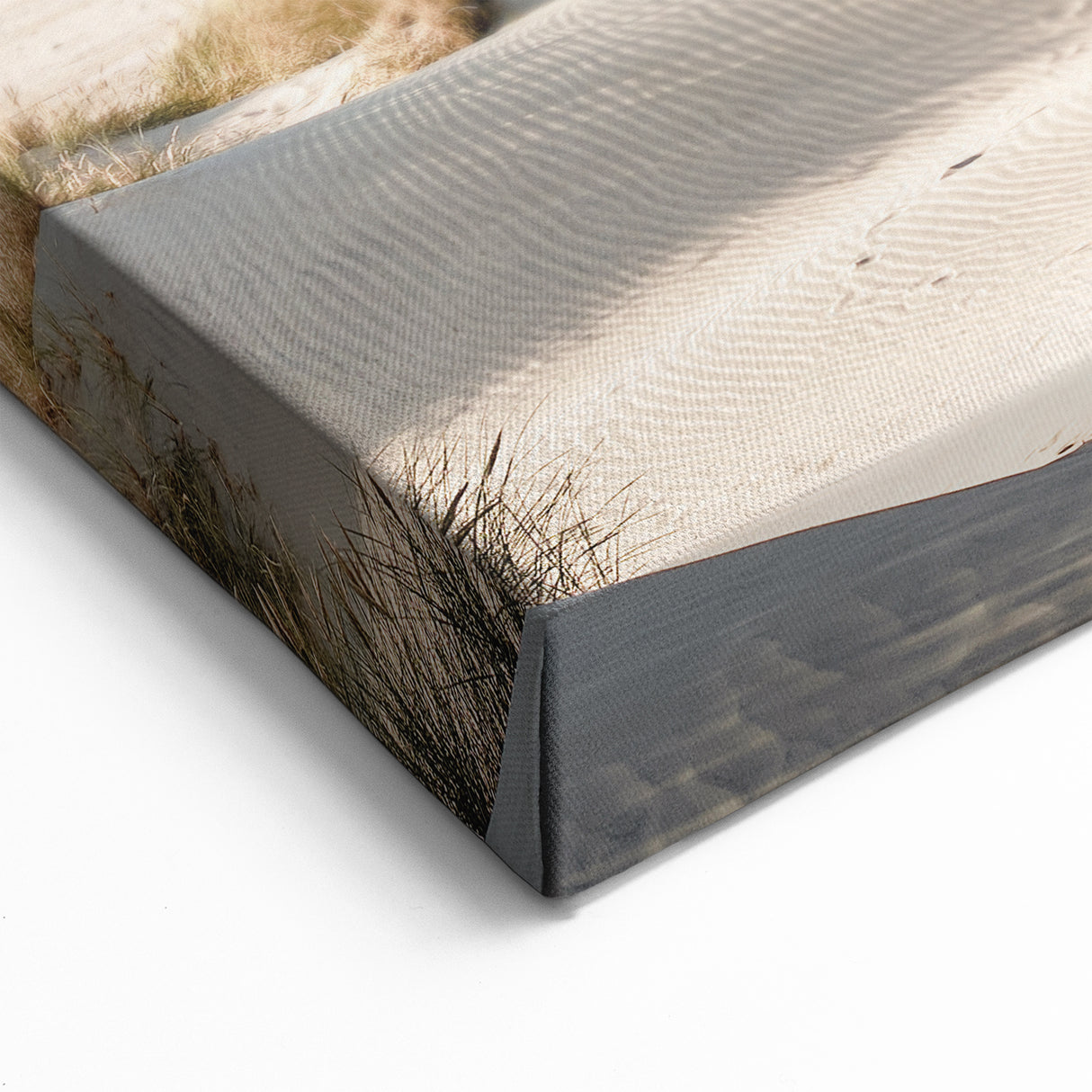 Denmark Wall Art - Scenic Danish Landscape with Coastal Sand Dunes