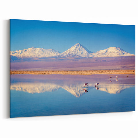 Patagonia Wall Art – Majestic Flamingos & Snowcapped Chilean Mountains