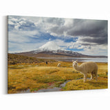 Chile Landscape Art – Alpacas Grazing in Andean Mountains Wall Decor