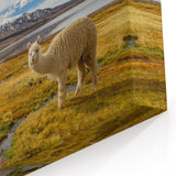 Chile Landscape Art – Alpacas Grazing in Andean Mountains Wall Decor