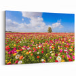 Scenic Israel Photography – Vibrant Flower Fields, Middle Eastern Art