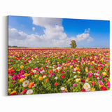 Scenic Israel Photography – Vibrant Flower Fields, Middle Eastern Art