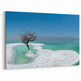 Dead Sea Photography - Israel Seascape Art with Tree and Salt Formations