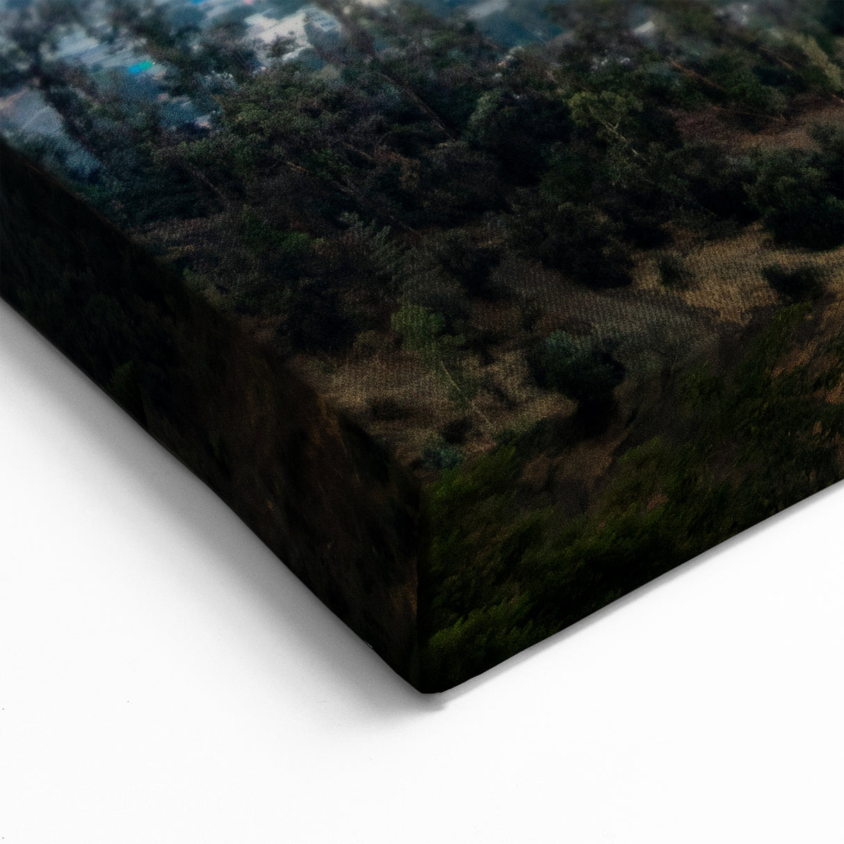 Chile Landscape Paintings – Santiago Cityscape with Andes Mountains