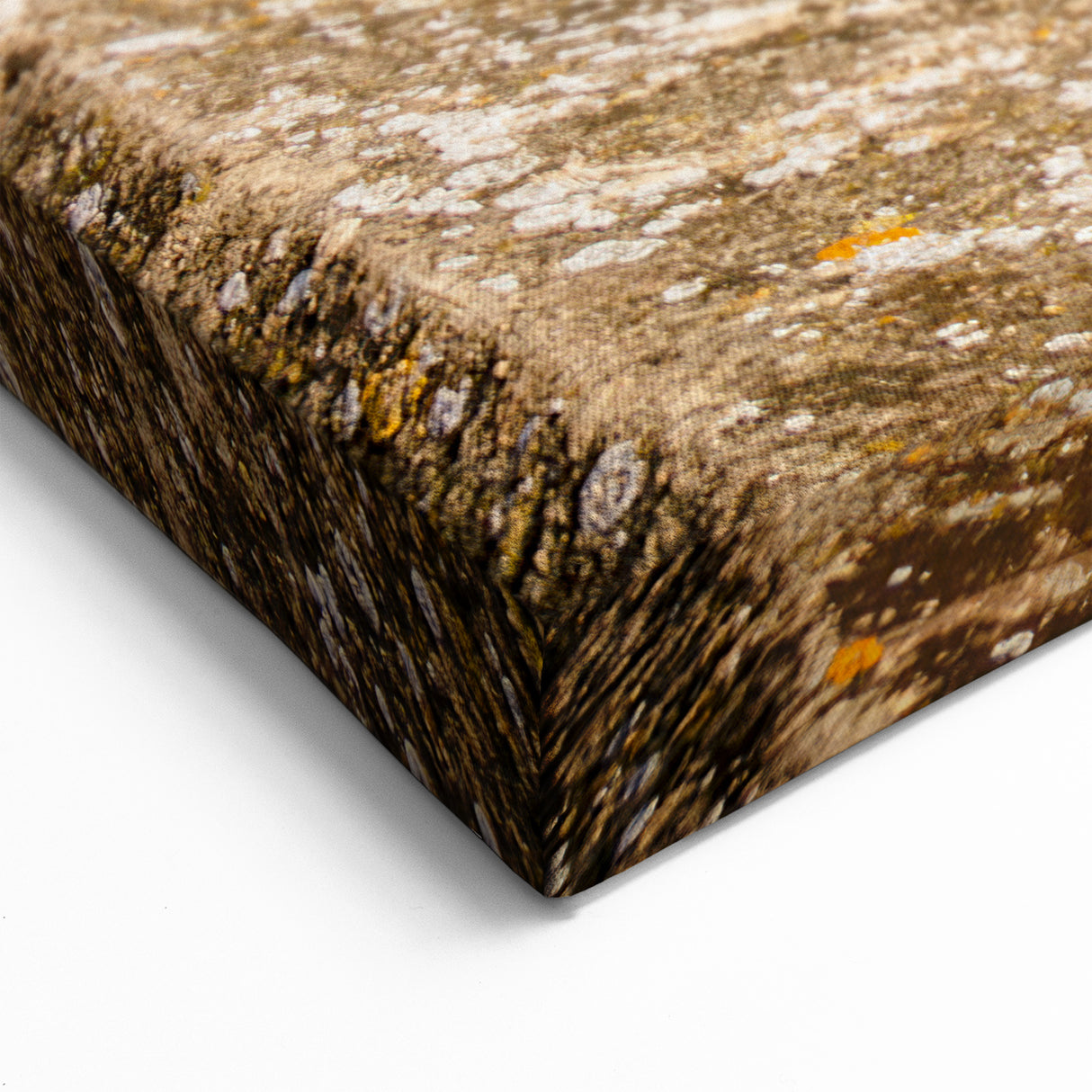 Bath England Wall Art - Pulteney Bridge and Weir Daytime Scenic Canvas