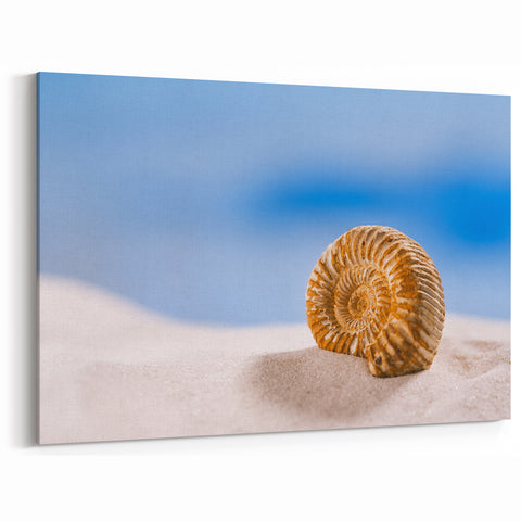 Natural Elements Wall Art - Nature Closeups Shell Canvas Print for Modern Homes