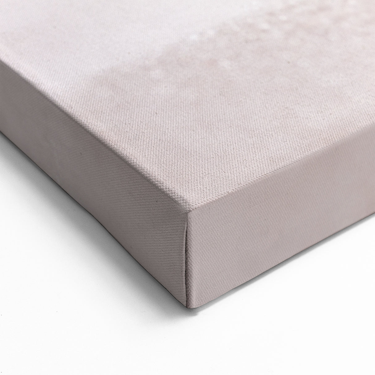 Natural Elements Wall Art - Nature Closeups Shell Canvas Print for Modern Homes