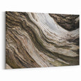 Natural Elements Wall Art Nature Closeups Canvas Print - Aged Wood Texture