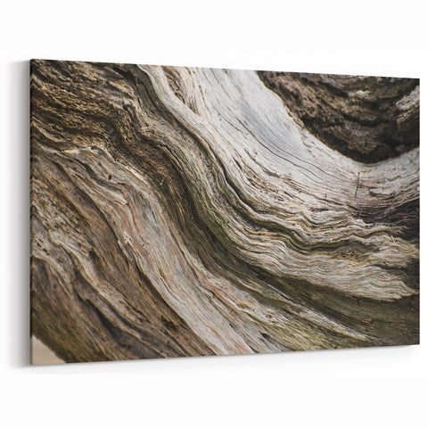 Natural Elements Wall Art Nature Closeups Canvas Print - Aged Wood Texture