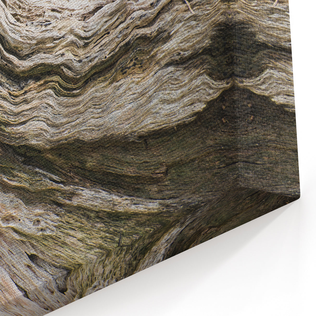 Natural Elements Wall Art Nature Closeups Canvas Print - Aged Wood Texture