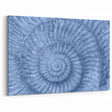 Natural Elements Wall Art: Nature Closeups Canvas Print - Blue Fossil Spiral