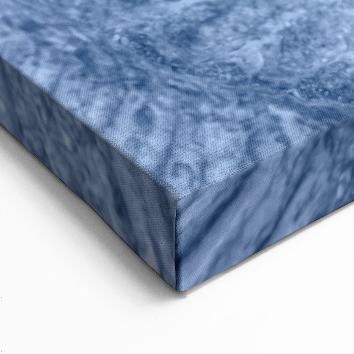 Natural Elements Wall Art: Nature Closeups Canvas Print - Blue Fossil Spiral