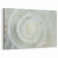 Natural Elements Wall Art - Shell Closeup on Stretched Canvas & Framed Print