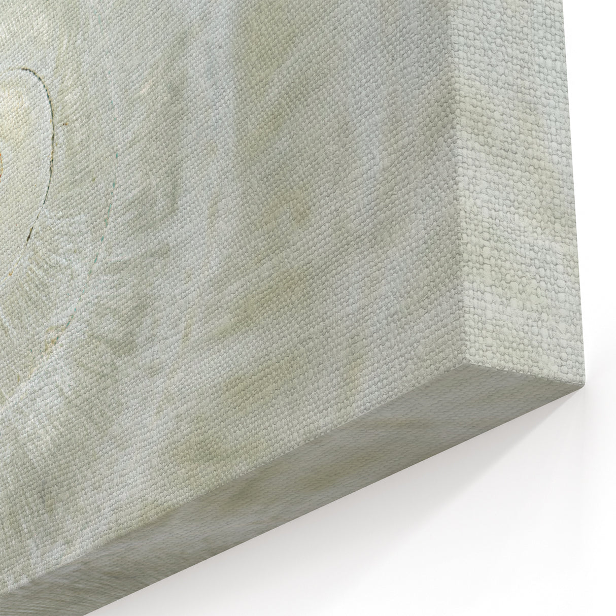 Natural Elements Wall Art - Shell Closeup on Stretched Canvas & Framed Print