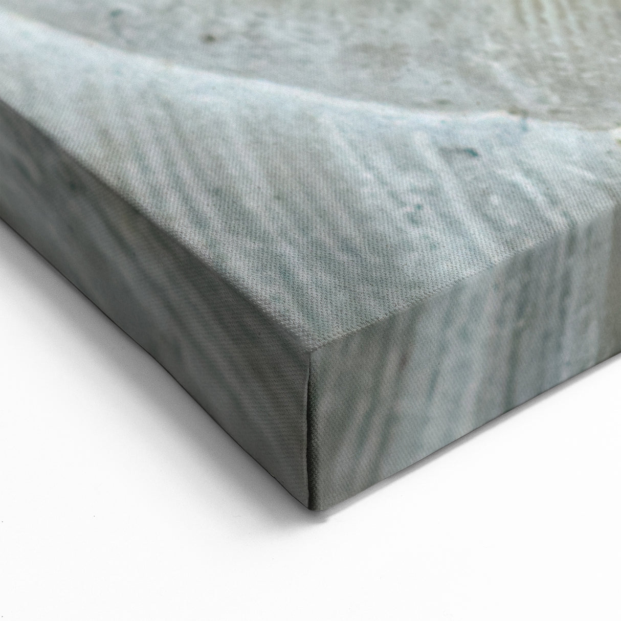 Natural Elements Wall Art - Shell Closeup on Stretched Canvas & Framed Print