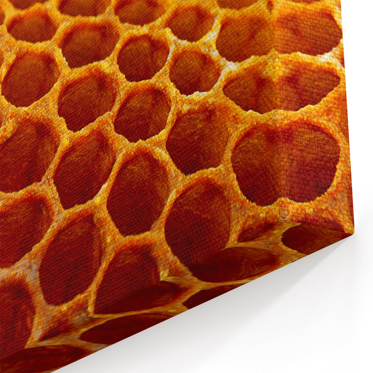 Natural Elements Wall Art | Honeycomb Close-Up Nature Print on Canvas
