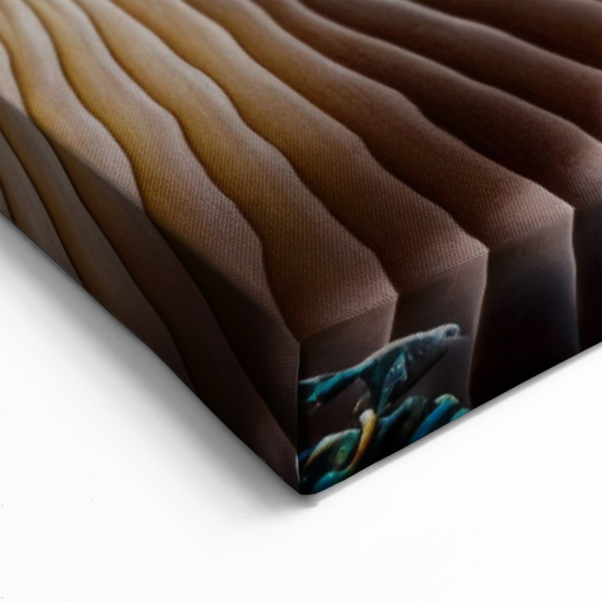 Natural Elements Wall Art | Marine Life Textures Close-Up Canvas Print