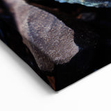 Natural Elements Wall Art | Fossil Spiral Close-Up Canvas Print