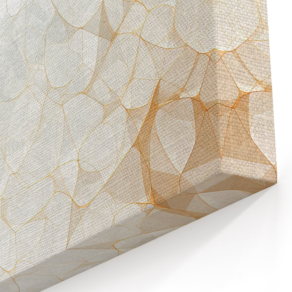 Natural Elements Wall Art | Abstract Light Geometry Canvas Print