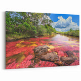 Colombian Landscape Prints - Caño Cristales River South America Decor