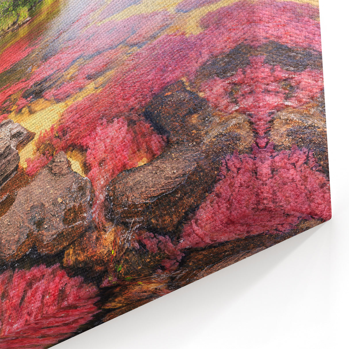 Colombian Landscape Prints - Caño Cristales River South America Decor