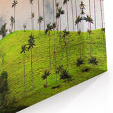 Colombian Scenery Canvas - Wax Palm Trees South America Decor Print