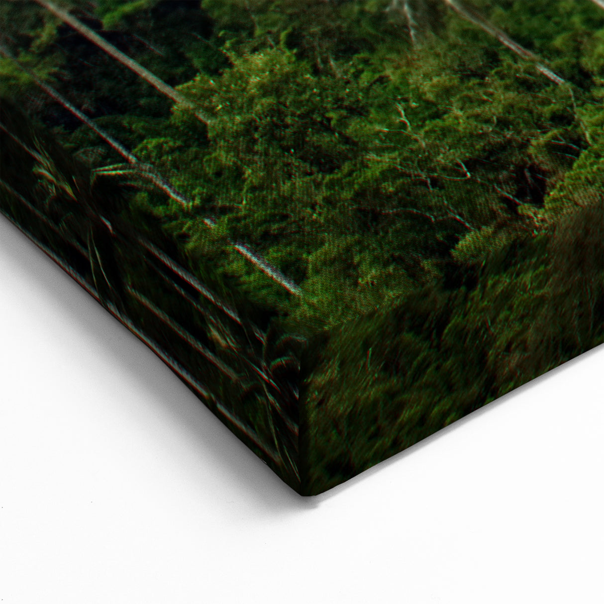 Colombian Scenery Canvas - Wax Palm Trees South America Decor Print